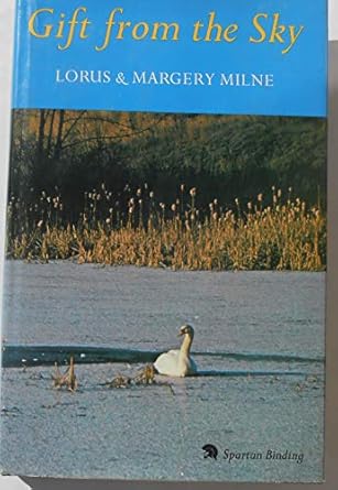 gift from the sky 1st edition lorus johnson milne 0689202822, 978-0689202827
