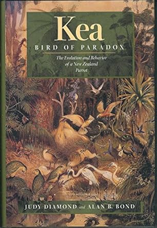kea bird of paradox the evolution and behavior of a new zealand parrot 1st edition judy diamond ,alan b bond