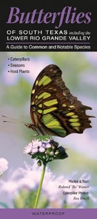 butterflies of south texas incl the lower rio grande valley a guide to common and notable species 1st edition