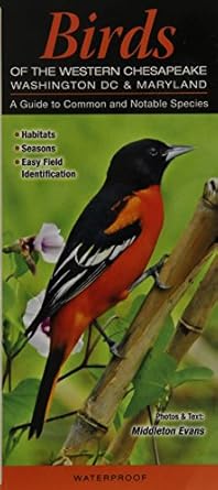 birds of the western chesapeake washington dc and maryland a guide to common and notable species 1st edition