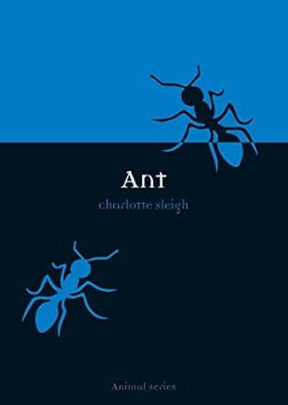 ant 1st edition charlotte sleigh 1861891903, 978-1861891907