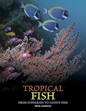 tropical fish from stingrays to clown fish 1st edition david alderton 1838865519, 978-1838865511