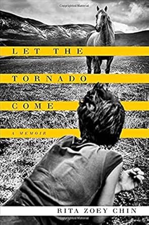let the tornado come a memoir 1st edition rita zoey chin 1476734860, 978-1476734866