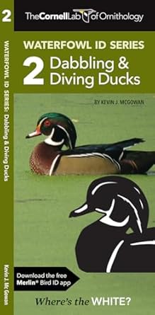 cornell lab of ornithology waterfowl id series 2 dabbling and diving ducks 1st edition kevin j mcgowan