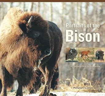 portraits of the bison an illustrated guide to bison society 1st edition wes olson ,johane janelle