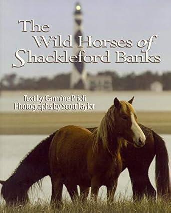 wild horses of shackleford banks 1st edition carmine prioli ,scott taylor 0895873346, 978-0895873347