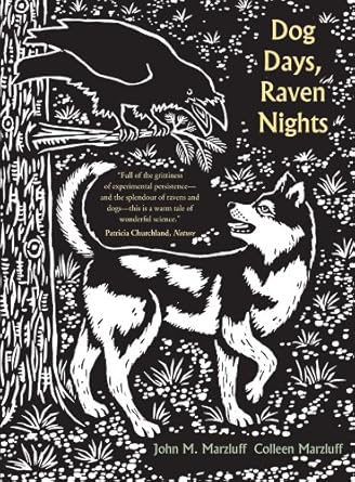 dog days raven nights 1st edition john m marzluff ,colleen marzluff ,evon zerbetz ,bernd heinrich 0300192479,