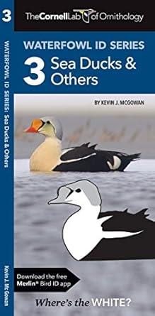 cornell lab of ornithology waterfowl id series 3 sea ducks and others 1st edition kevin j mcgowan ,waterford