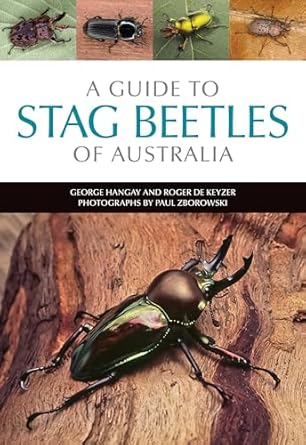 a guide to stag beetles of australia 1st edition george hangay ,roger de keyzer ,paul zborowski 1486302084,
