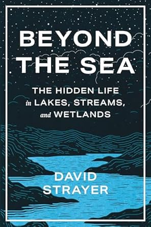 beyond the sea the hidden life in lakes streams and wetlands 1st edition david strayer 1421450070,