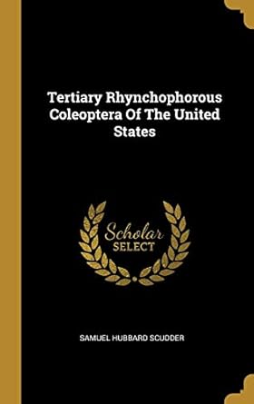 tertiary rhynchophorous coleoptera of the united states 1st edition samuel hubbard scudder 1011145626,
