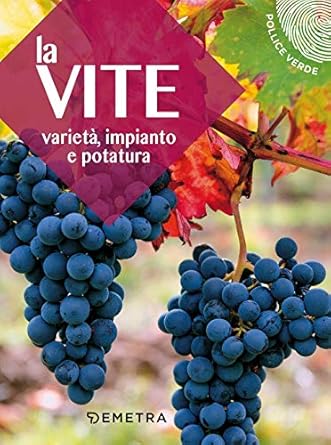 la vite varieta impianto e potatura 1st edition vv aa ,gabriele pozzi ,mario stoppele 8844048841,
