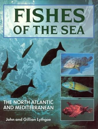 fishes of the sea the north atlantic and mediterranean 1st edition john lythgoe ,gillian lythgoe 026212162x,