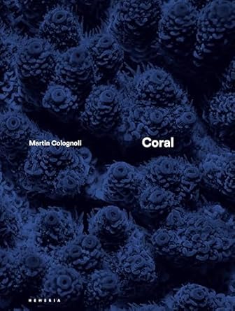 coral 1st edition martin colognoli ,charlie veron 2490952323, 978-2490952328