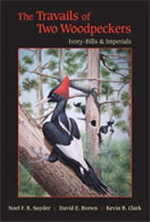 the travails of two woodpeckers ivory bills and imperials 1st edition noel f r snyder ,david e brown ,clark b