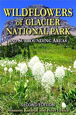 wildflowers of glacier national park and surrounding areas 1st edition shannon kimball ,peter lesica