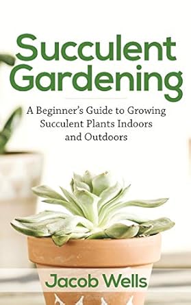 succulent gardening a beginners guide to growing succulent plants indoors and outdoors 1st edition jacob