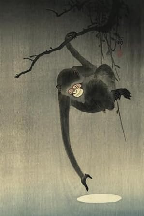 journal monkey with the reflection of the moon notebook 150 page 6 x 9 1st edition savanna redman 1945517581,