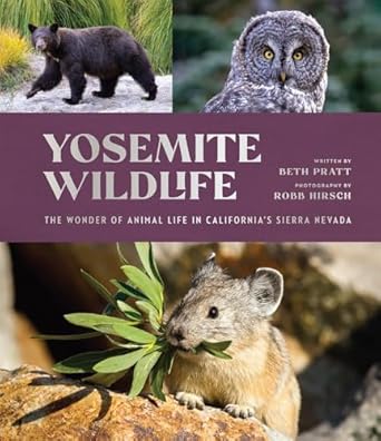 yosemite wildlife the wonder of animal life in californias sierra nevada 1st edition beth pratt ,robb hirsch