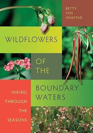 wildflowers of the boundary waters hiking through the seasons 1st edition betty vos hemstad 0873516478,