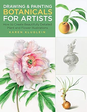 drawing and painting botanicals for artists how to create beautifully detailed plant and flower illustrations