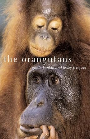 the orangutans their evolution behavior and future 1st edition gisela kaplan ,lesley rogers ,robert d kaplan