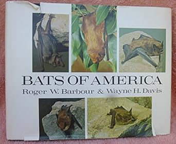 Bats Of America