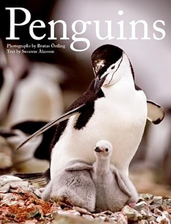 penguins 1st edition brutus ostling ,susanne akesson 0061198587, 978-0061198588