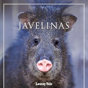 javelinas 1st edition lauray yule 1887896619, 978-1887896610
