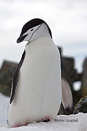 winter journal penguin on snow soft cover ruled notebook/journal/diary 1st edition lsgw ,l s goulet