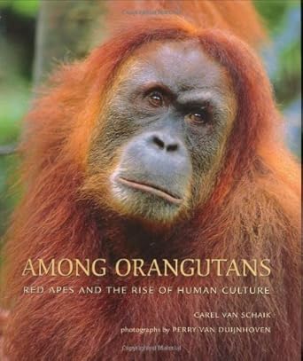 among orangutans red apes and the rise of human culture 1st edition carel van schaik ,perry van duijnhoven