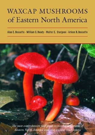 waxcap mushrooms of eastern north america 1st edition alan bessette ,william c roody ,walter e sturgeon