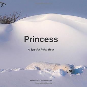 princess a special polar bear 1st edition dennis fast 1770974644, 978-1770974647