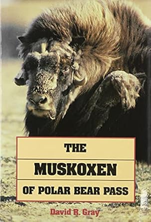 muskoxen of polar bear pass 1st edition david r gray 088902944x, 978-0889029446