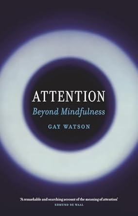 attention beyond mindfulness 1st edition gay watson 178914924x, 978-1789149241