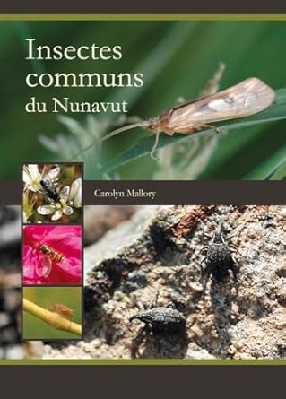 insectes communs du nunavut 1st edition carolyn mallory 177227030x, 978-1772270303