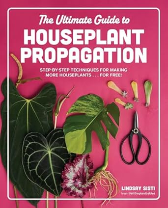 the ultimate guide to houseplant propagation step by step techniques for making more houseplants for free 1st
