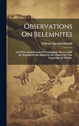 observations on belemnites and other fossil remains of cephalopoda discovered by mr reginald neville mantell