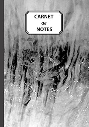 carnet de notes journal personnel prise de notes original and pratique de 110 pages lignees avec une