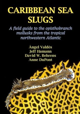 caribbean sea slugs 1st edition angel valdes ,jeff hammon ,david behrens ,anne dupont 0970057423,