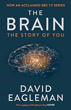 brain 1st edition david eagleman 1782116613, 978-1782116615
