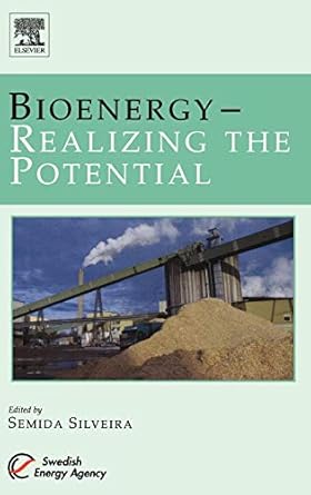 bioenergy realizing the potential 1st edition dr semida silveira 0080446612, 978-0080446615