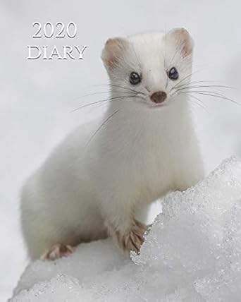 2020 diary wildlife weekly planner and monthly calendar desk diary journal weasel alaskan weasel alaska north