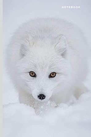 notebook arctic fox 6x9 lined composition paper lined journal 1st edition sturdy minds press 1710568178,