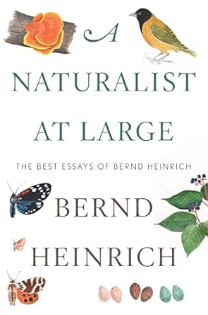 a naturalist at large the best essays of bernd heinrich 1st edition bernd heinrich 0544986830, 978-0544986831