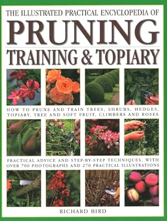 illustrated practical encyclopedia of pruning training and topiary how to prune and train trees shrubs hedges