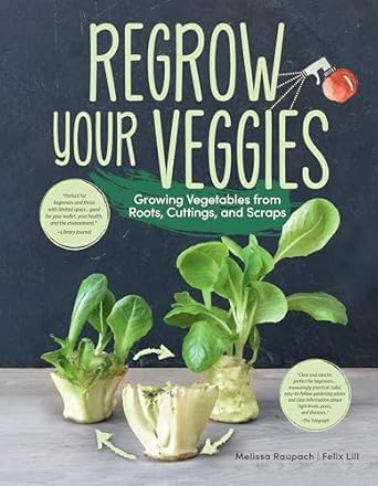 regrow your veggies growing vegetables from roots cuttings and scraps sustainable tips troubleshooting and