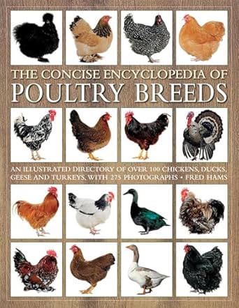 the concise encyclopedia of poultry breeds an illustrated directory of over 100 chickens ducks geese and
