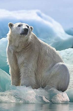 notizbuch eisbar tagebuch / notizbuch mit eisbar motiv 1st edition animal journals 1793115451, 978-1793115454