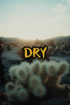 dry 1st edition qing li 1686967497, 978-1686967498